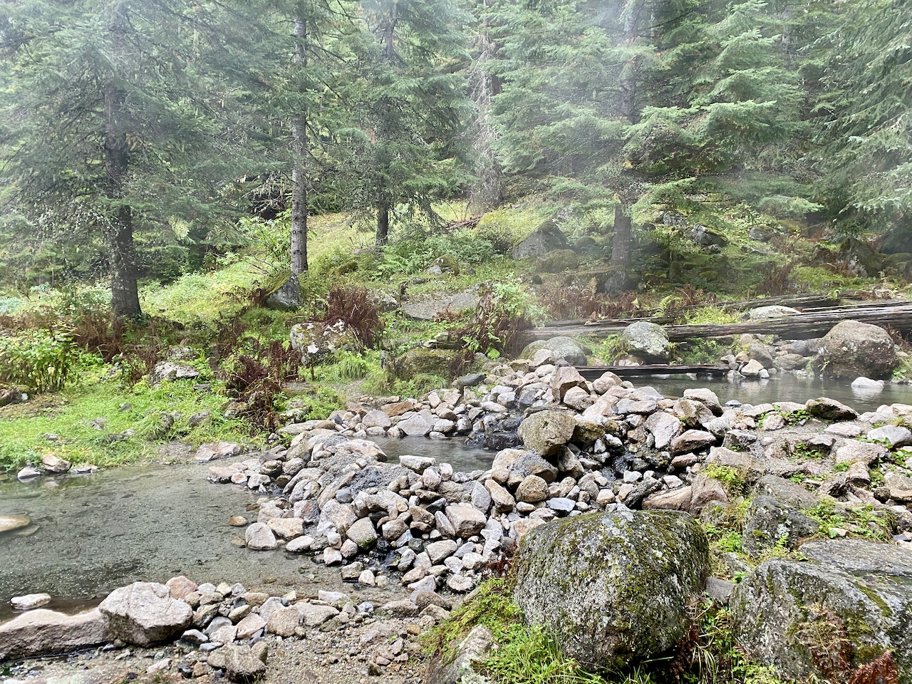 Pleasant Creek Trail Runner's