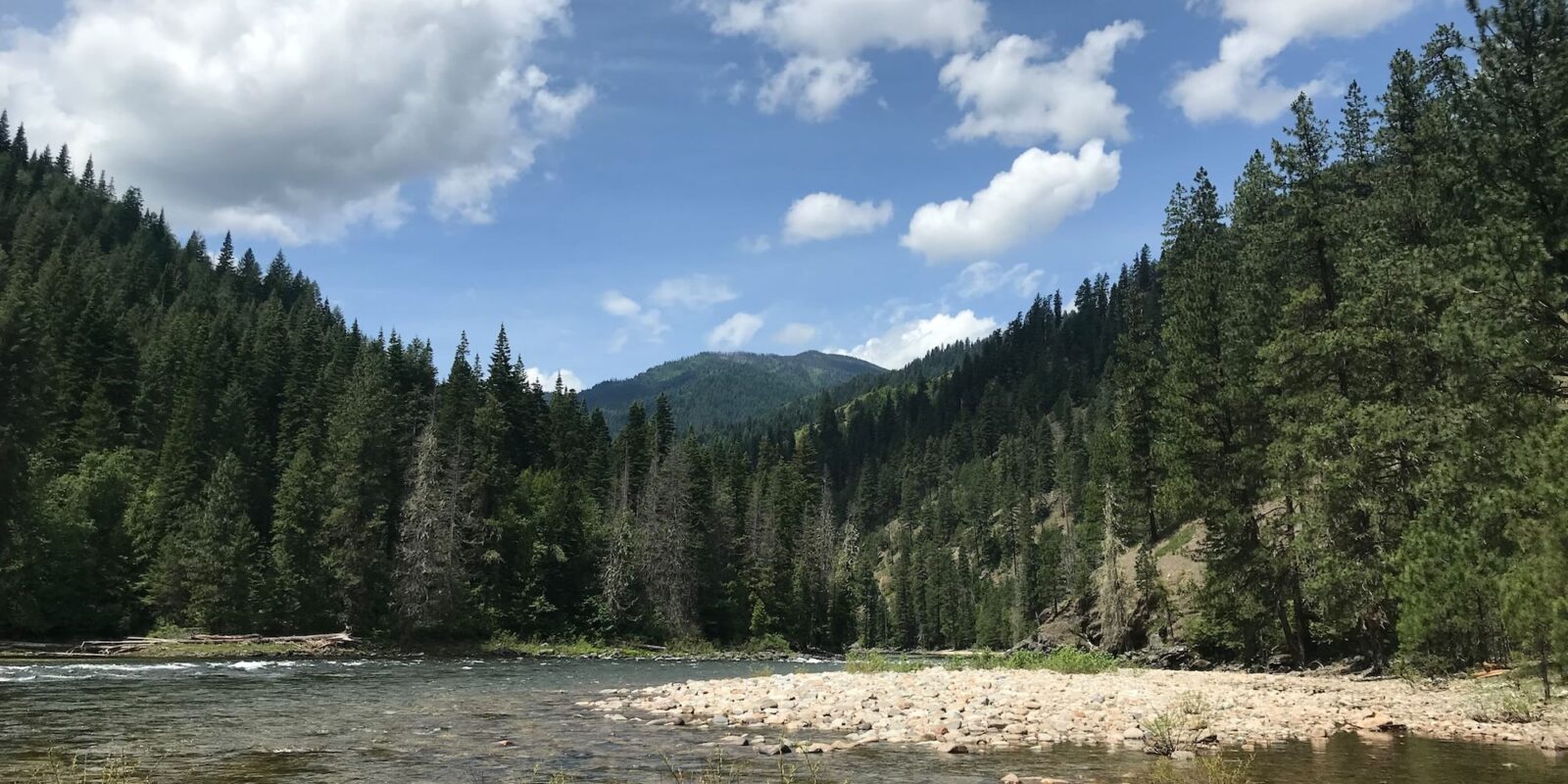 Escape to Idaho's Wilderness: A Guide to Race Creek Campground